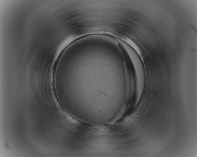 X0000091891096200709051338