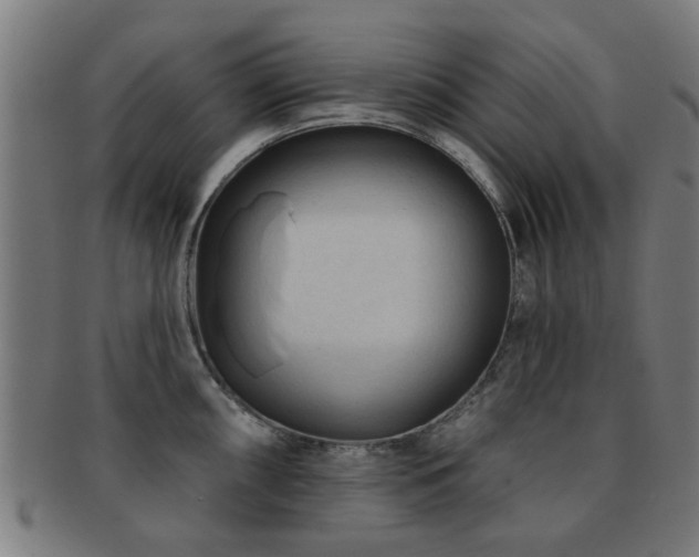 X0000091891098200709051338
