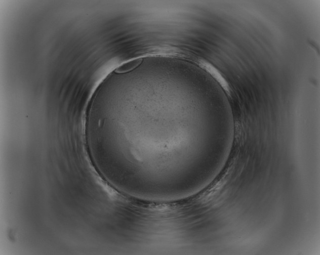 X0000091891099200709051338
