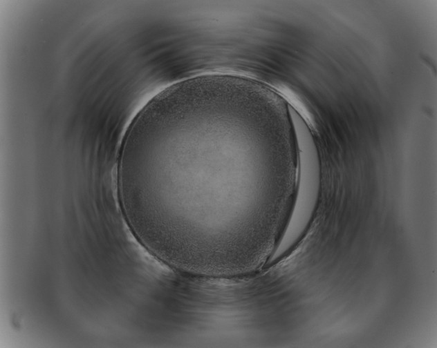 X0000091891100200709051338