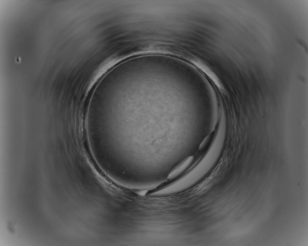 X0000091891101200709051338