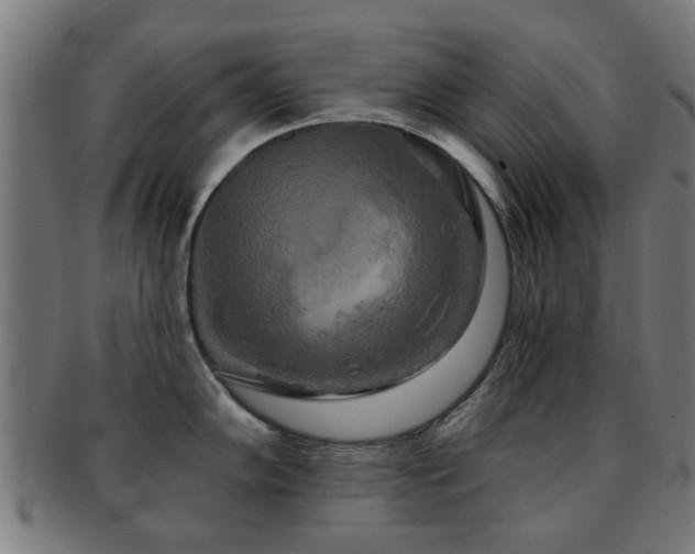X0000091891102200709051338