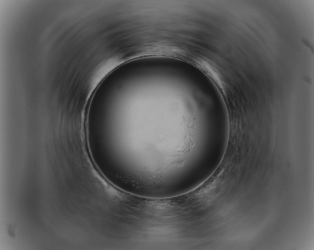 X0000091891103200709051338