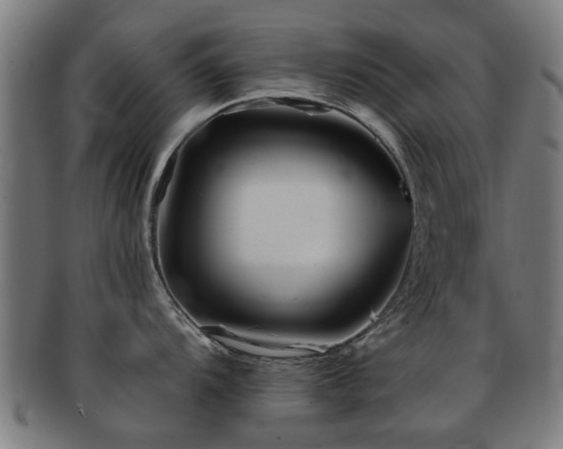 X0000091891104200709051338