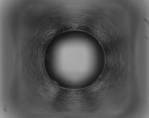 X0000091891105200709051338