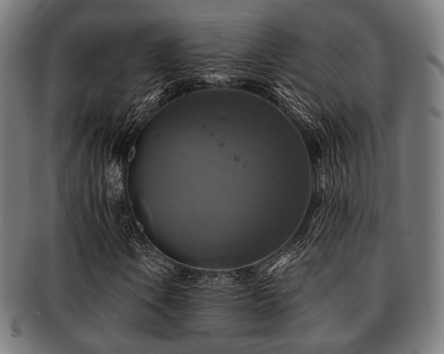 X0000091891106200709051338