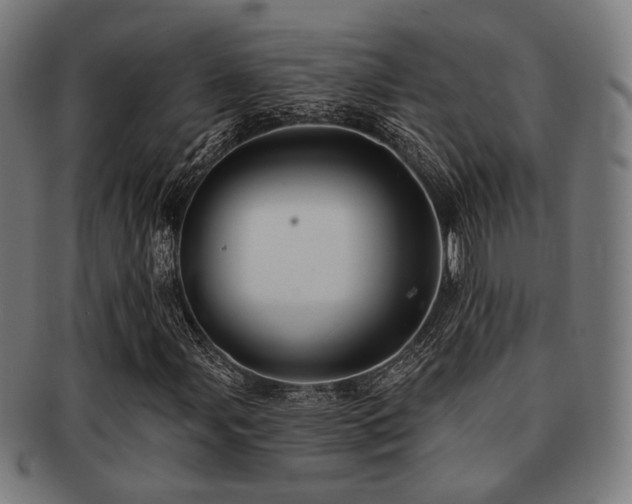 X0000091891107200709051338