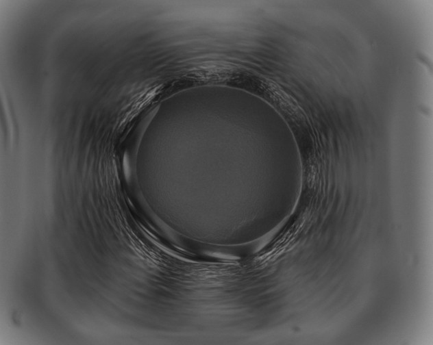 X0000091891108200709051338