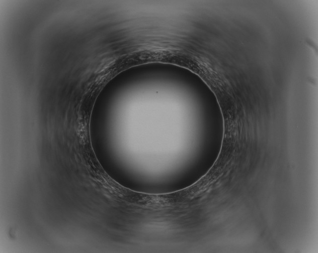 X0000091891109200709051338