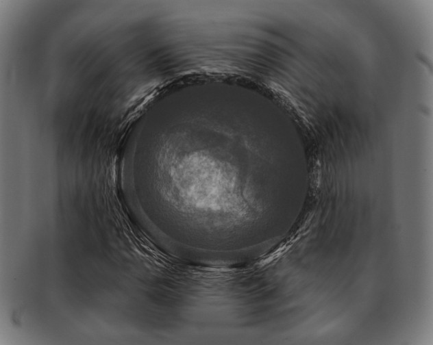 X0000091891110200709051338