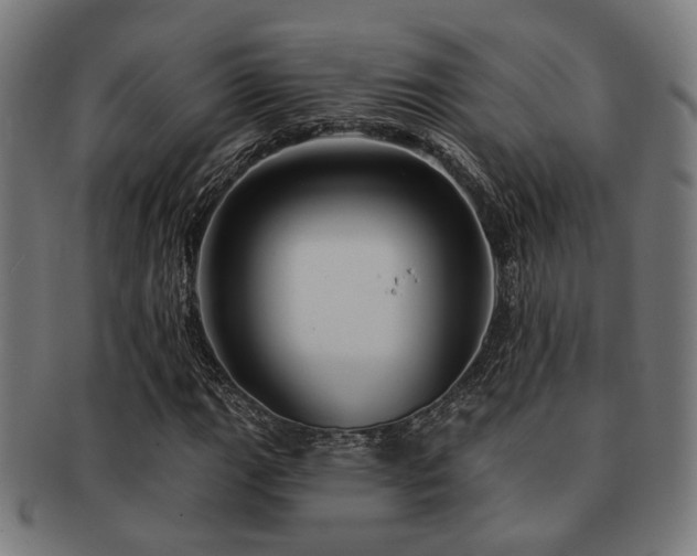 X0000091891111200709051338