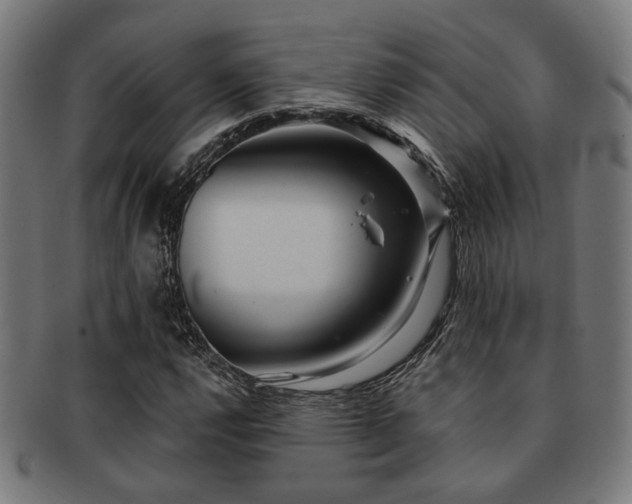 X0000091891112200709051338
