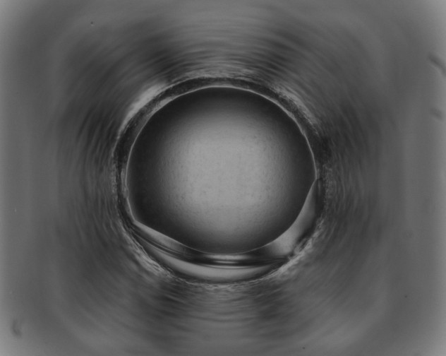 X0000091891114200709051338