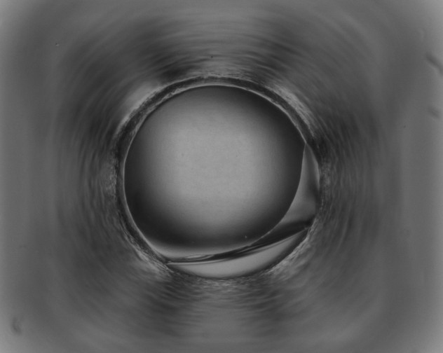 X0000091891115200709051338