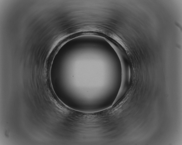 X0000091891116200709051338