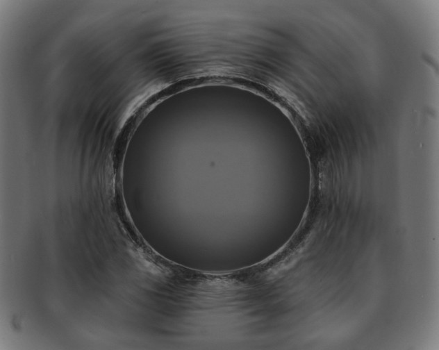 X0000091891117200709051338