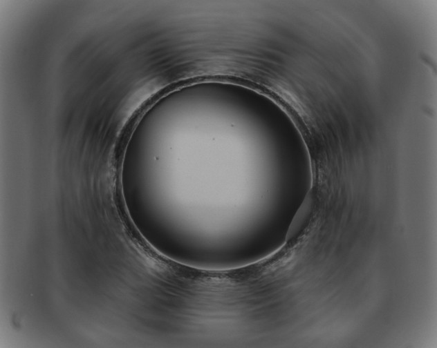 X0000091891119200709051338