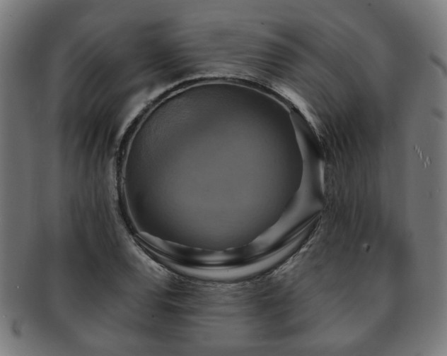 X0000091891120200709051338