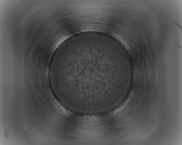 X0000091891121200709051338