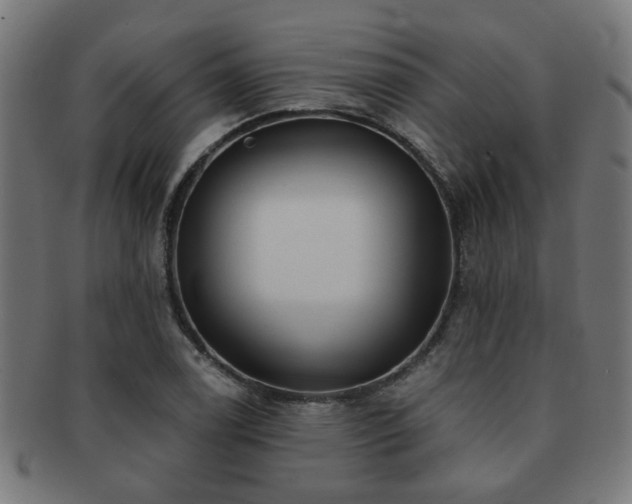 X0000091891122200709051338