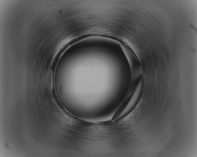 X0000091891123200709051338