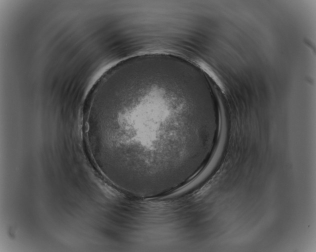 X0000091891124200709051338