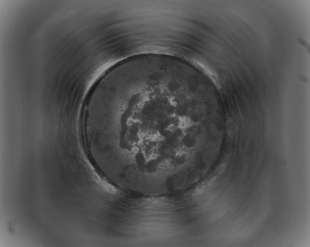 X0000091891125200709051338