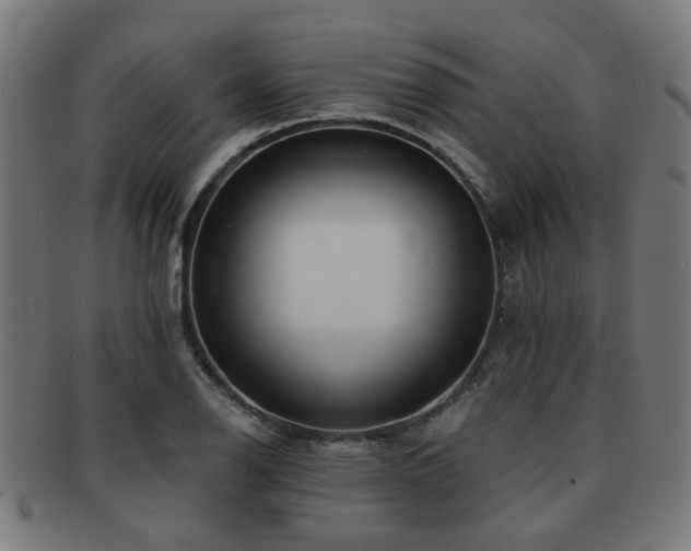 X0000091891126200709051338
