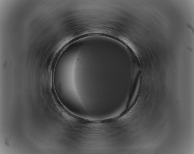X0000091891127200709051338