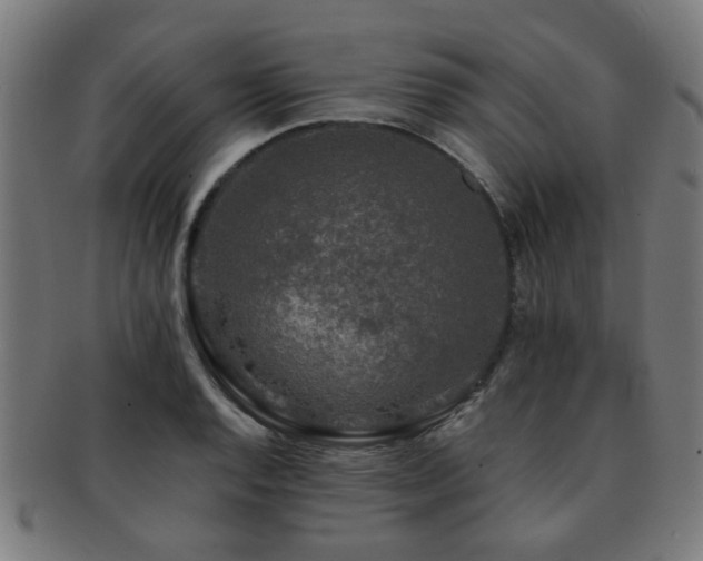 X0000091891128200709051338