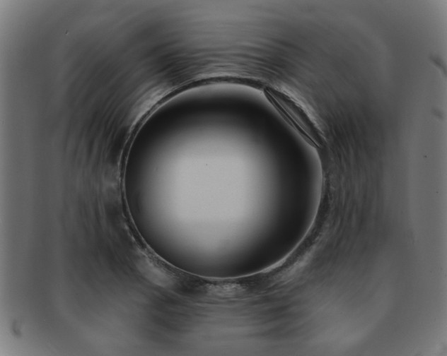 X0000091891129200709051338