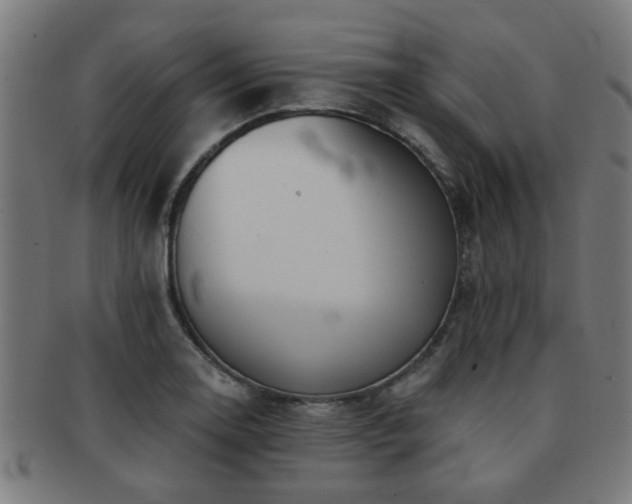 X0000091891130200709051338
