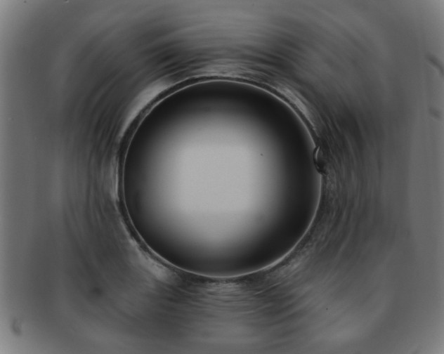 X0000091891131200709051338