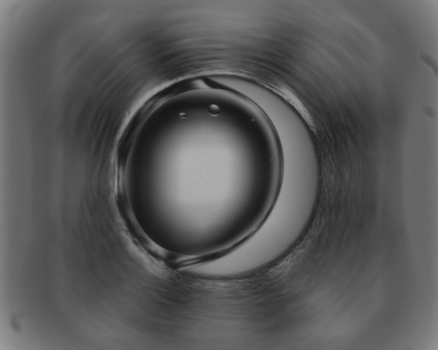 X0000091891132200709051338