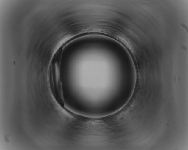 X0000091891133200709051338