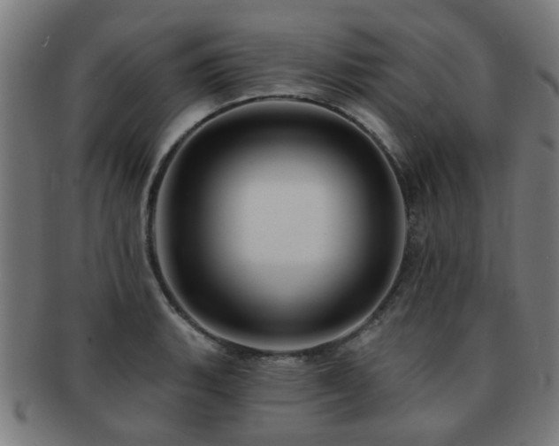 X0000091891135200709051338