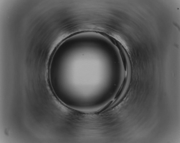 X0000091891136200709051338