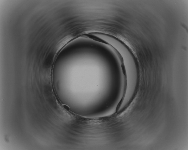 X0000091891137200709051338