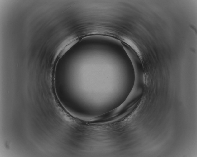 X0000091891138200709051338
