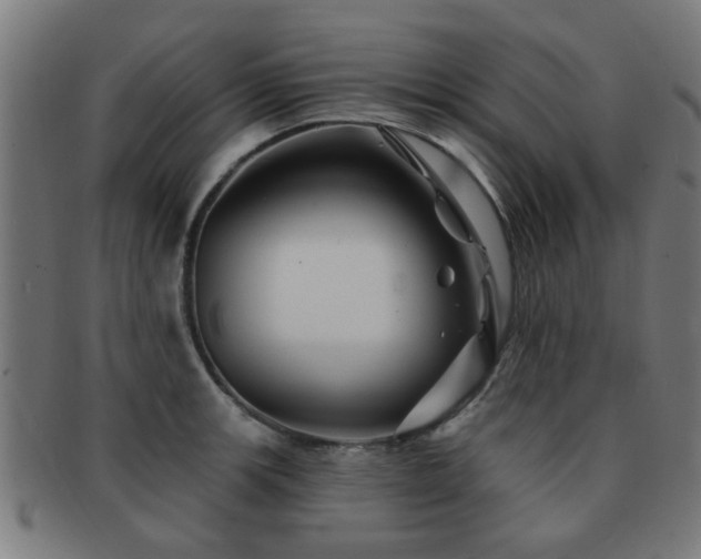 X0000091891139200709051338