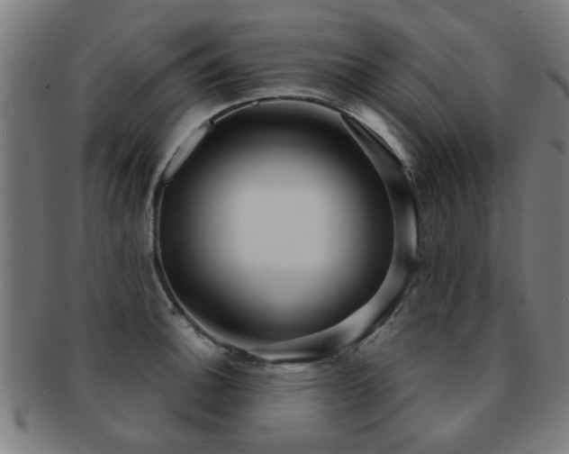 X0000091891140200709051338