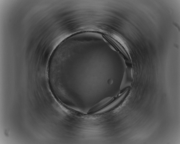 X0000091891141200709051338