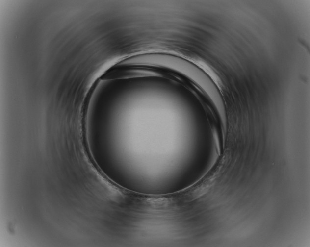 X0000091891142200709051338