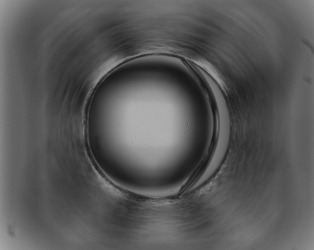 X0000091891143200709051338