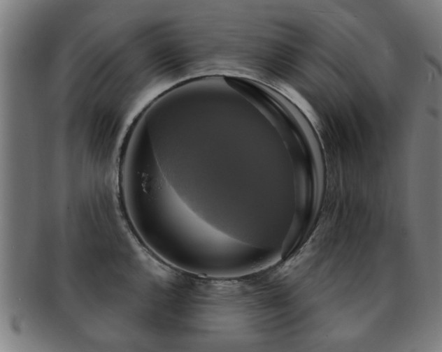 X0000091891144200709051338
