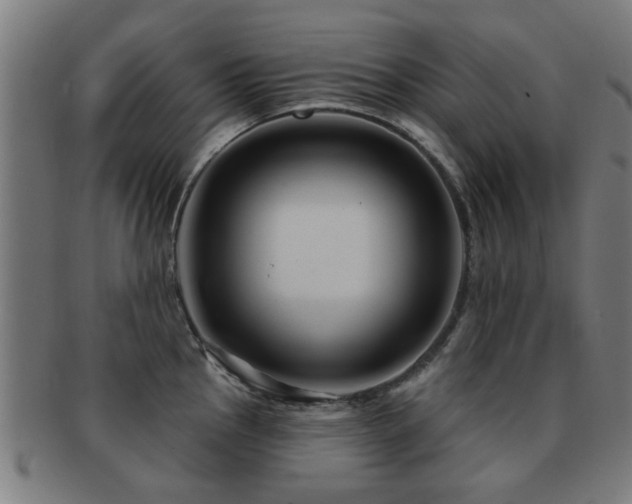 X0000091891145200709051338