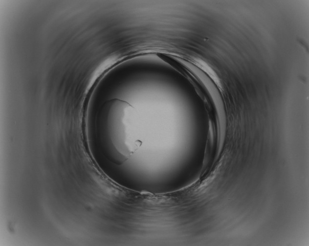 X0000091891146200709051338