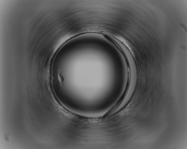 X0000091891147200709051338