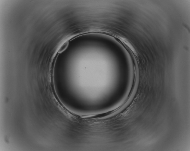 X0000091891148200709051338