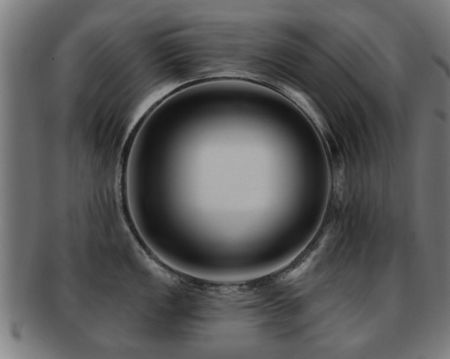 X0000091891149200709051338
